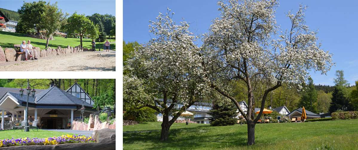 Haus-Hilmeke-Bildercollage-Frühling