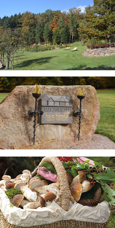 Haus-Hilmeke-Bildercollage-Herbst-mobil