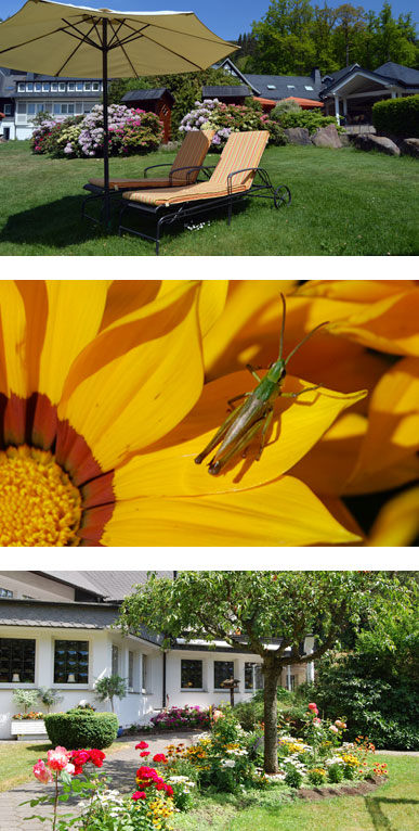 Haus-Hilmeke-Bildercollage-Sommer-mobil