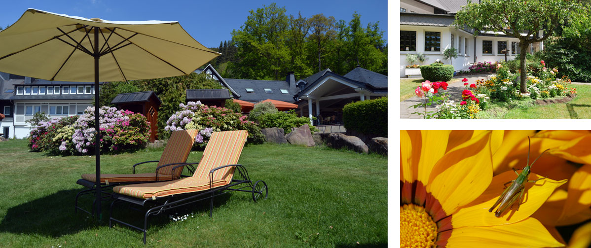 Haus-Hilmeke-Bildercollage-SommerV2